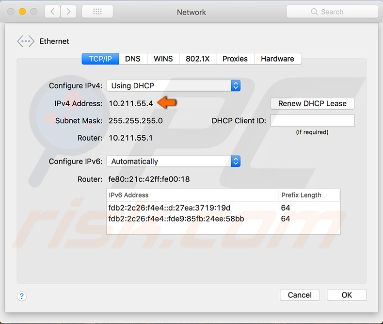 Información detallada de la dirección IP - Mac