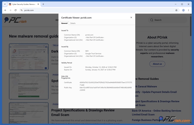 Detalles del certificado SSL en Chrome