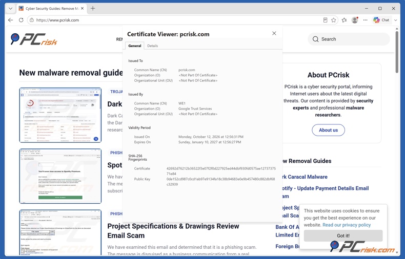 Detalles del certificado SSL en Microsoft Edge