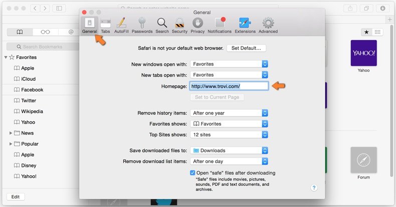 eliminar browser hijacker de Safari - 3