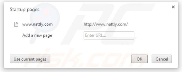 Página de inicio Nattly en Google Chrome