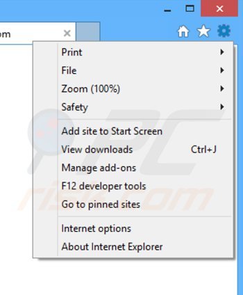 Eliminando los anuncios de browseignite de Internet Explorer paso 1