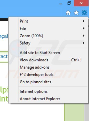 Eliminando los anuncios de premieropinion de Internet Explorer paso 1
