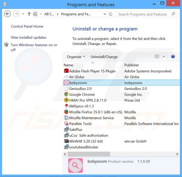 desinstalar el adware Boby Zoom del Panel de control