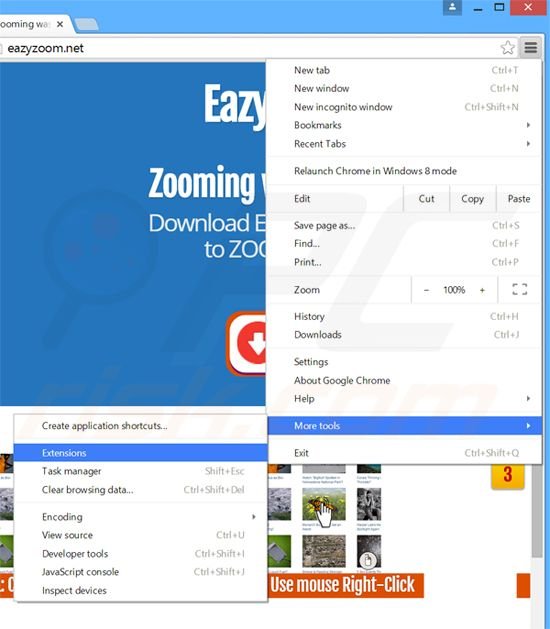 Eliminando los anuncios Eazy Zoom de Google Chrome paso 1