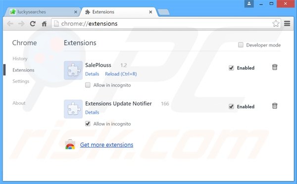Eliminando las extensiones relacionadas con homepage-web.com de Google Chrome