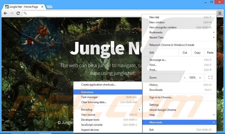 Eliminando los anuncios de Jungle Net de Google Chrome paso 1