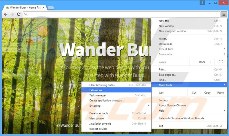 Eliminando los anuncios de Wander Burst de Google Chrome paso 1