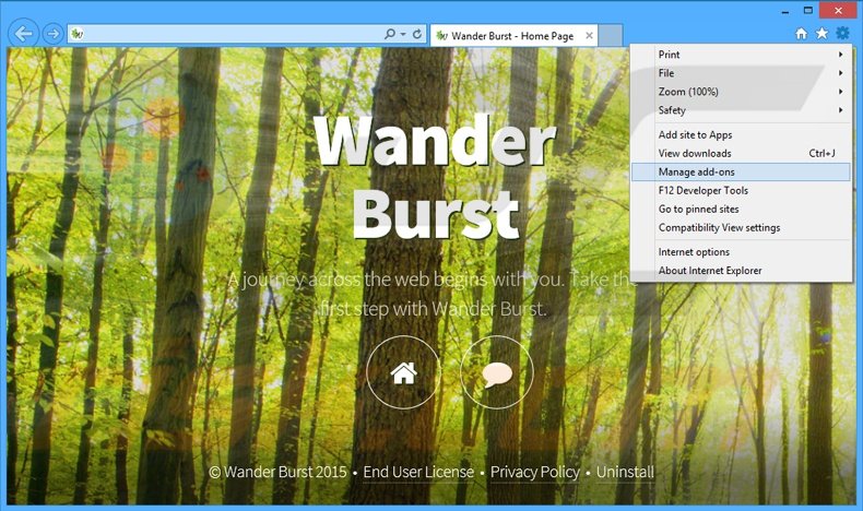 Eliminando los anuncios de Wander Burst de Internet Explorer paso 1