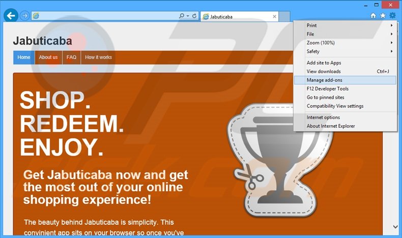 Eliminando los anuncios de Jabuticaba de Internet Explorer paso 1
