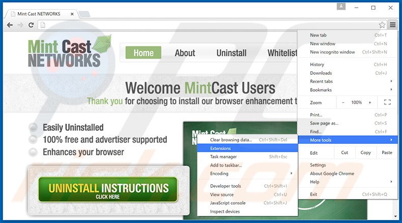 Eliminando los anuncios de Mint Cast Networks de Google Chrome paso 1
