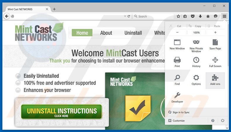 Eliminando los anuncios de Mint Cast Networks de Mozilla Firefox paso 1