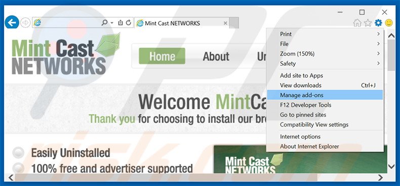 Eliminando los anuncios de Mint Cast Networks de Internet Explorer paso 1