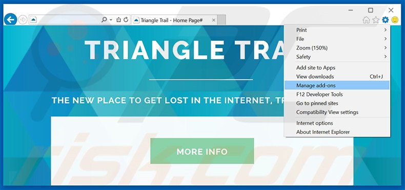  Eliminando los anuncios de Triangle Trail de Internet Explorer paso 1