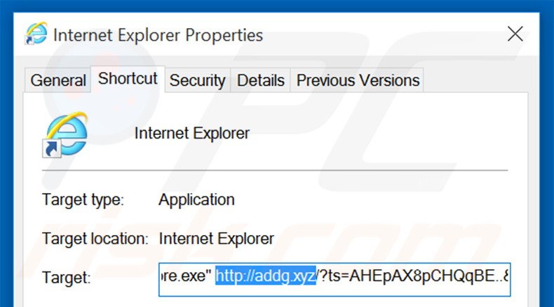 Eliminar addg.xyz del destino del acceso directo de Internet Explorer paso 2