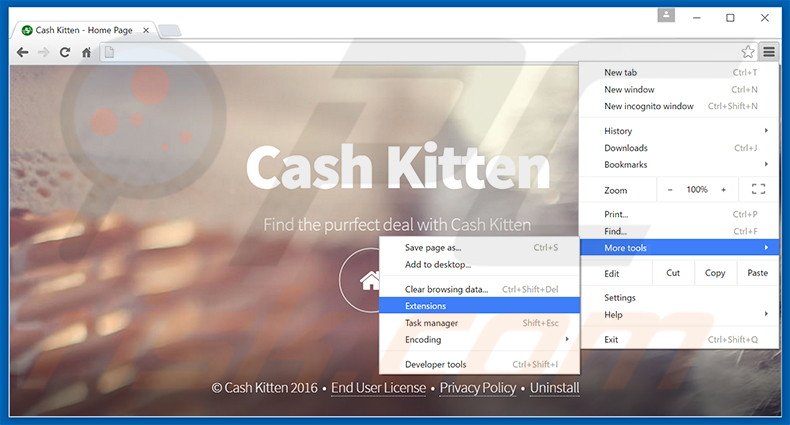 Eliminando los anuncios de Cash Kitten de Google Chrome paso 1