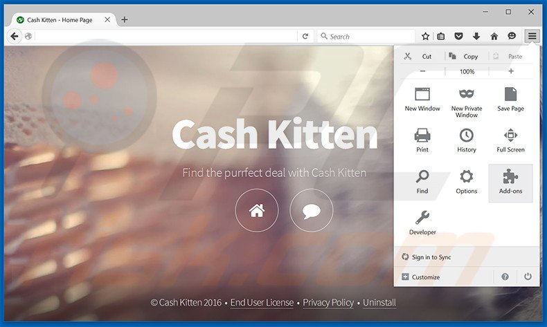 Eliminando los anuncios de Cash Kitten de Mozilla Firefox paso 1