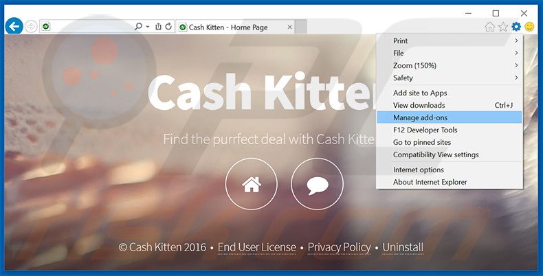 Eliminando los anuncios de Cash Kitten de Internet Explorer paso 1
