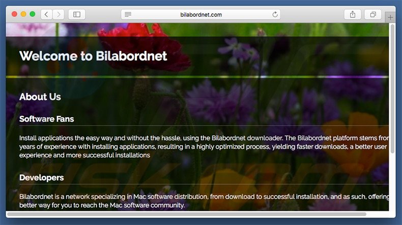 Sitio web dudoso usado para promocionar search.bilabordnet.com