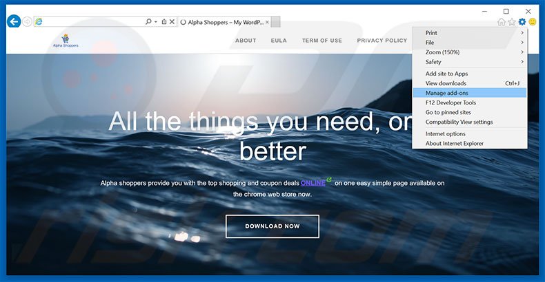 Eliminando los anuncios de Alpha Shoppers de Internet Explorer paso 1
