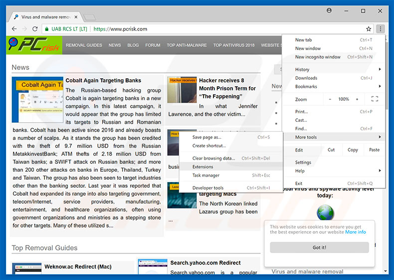 Eliminando los anuncios de Chameleon Explorer Pro de Google Chrome paso 1