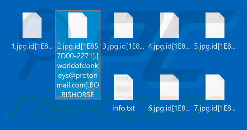 archivos encriptados por BORISHORSE