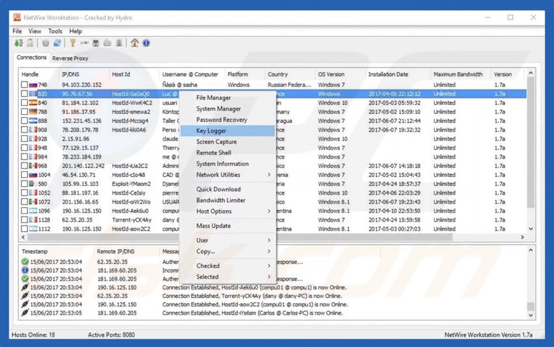 panel de administración de netwire