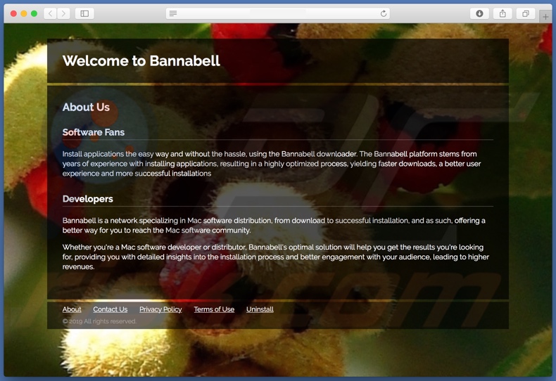 sitio web dudoso usado para promocionar search.bannabell.com