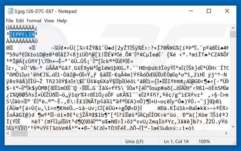 Archivo encriptado del ransomware ZEPPELIN con marcador de archivo agregado