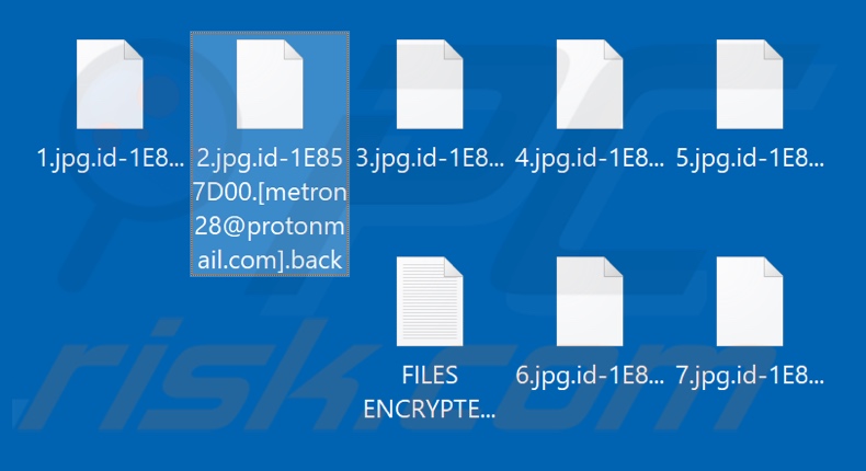 Archivos cifrados por el ransomware Back (extensión .back)
