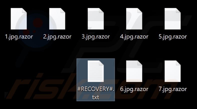 Archivos cifrados por el ransomware Razor (extensión .Razor)