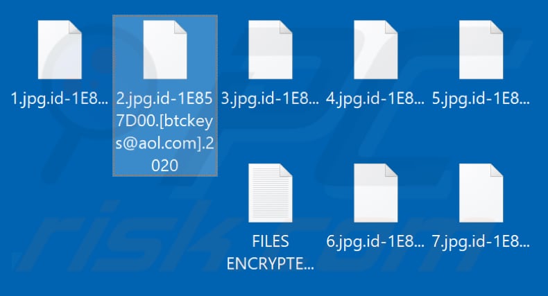 Archivos cifrados por .2020 ransomware (extensión .2020)