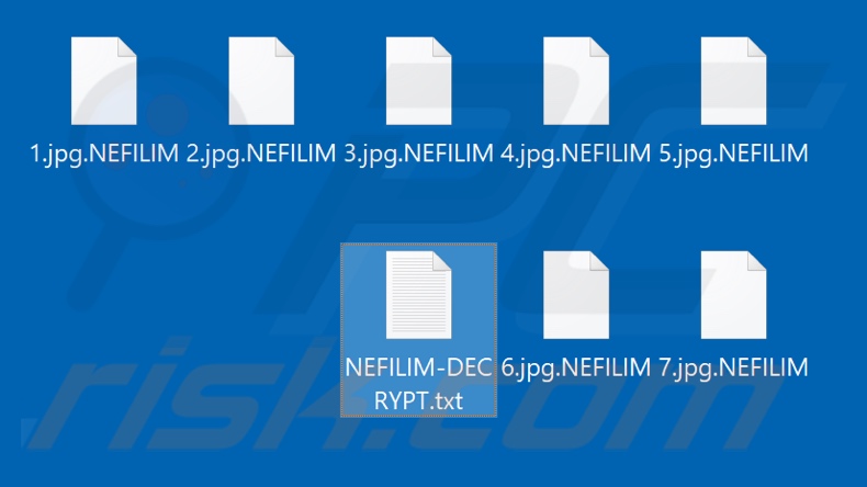 Archivos cifrados por el ransomware NEFILIM (extensión .NEFILIM)