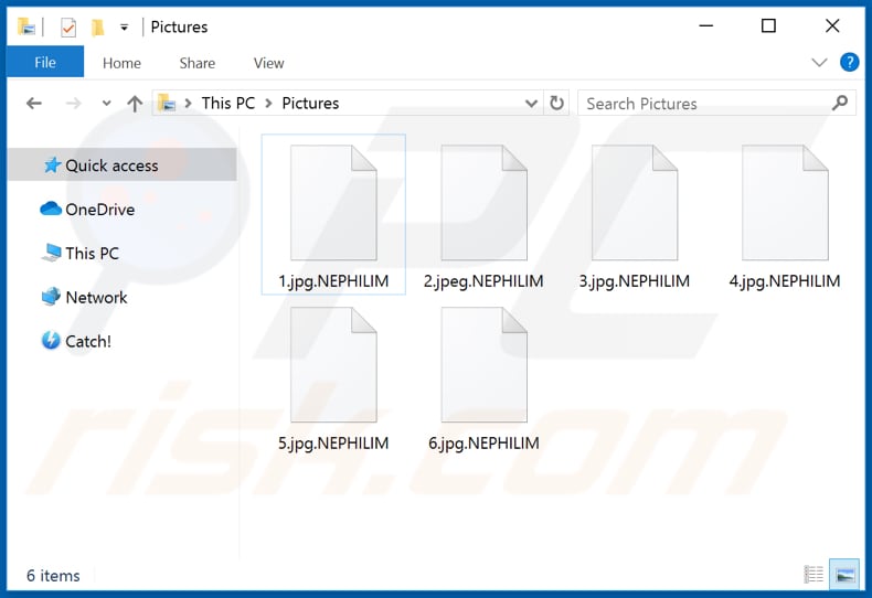 Archivos cifrados por el ransomware NEPHILIM (extensión .NEPHILIM)