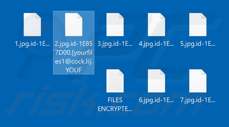 Archivos encriptados por el ransomware YOUF (extensión .YOUF)