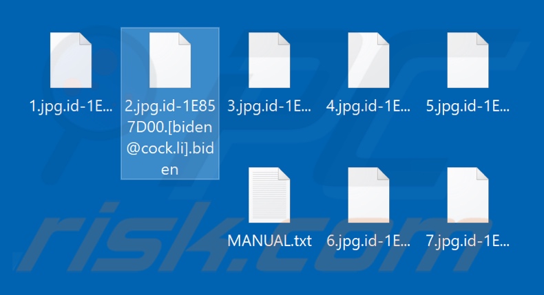 Archivos encriptados por el ransomware Biden (extensión .biden)