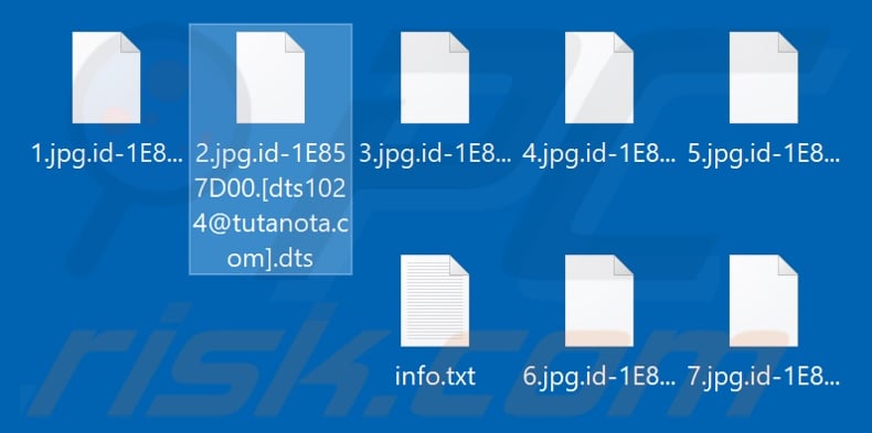 Archivos encriptados por el ransomware Dts (extensión .dts)