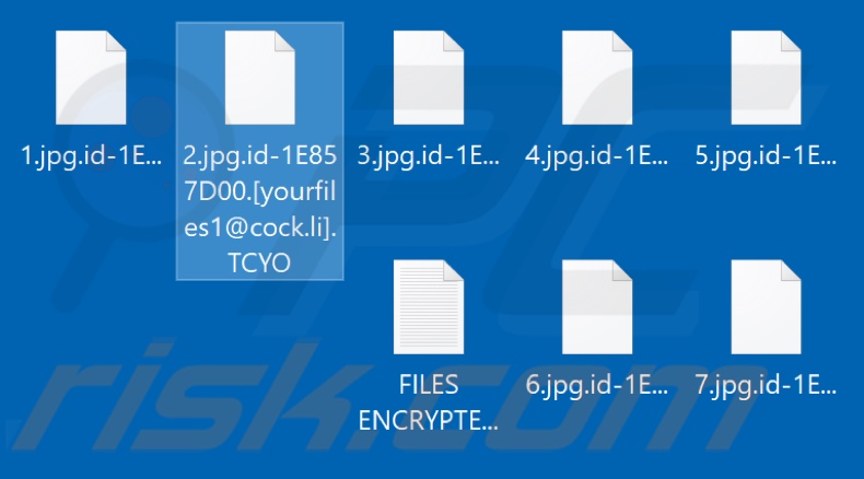 Archivos encriptados por el ransomware TCYO (extensión .TCYO)