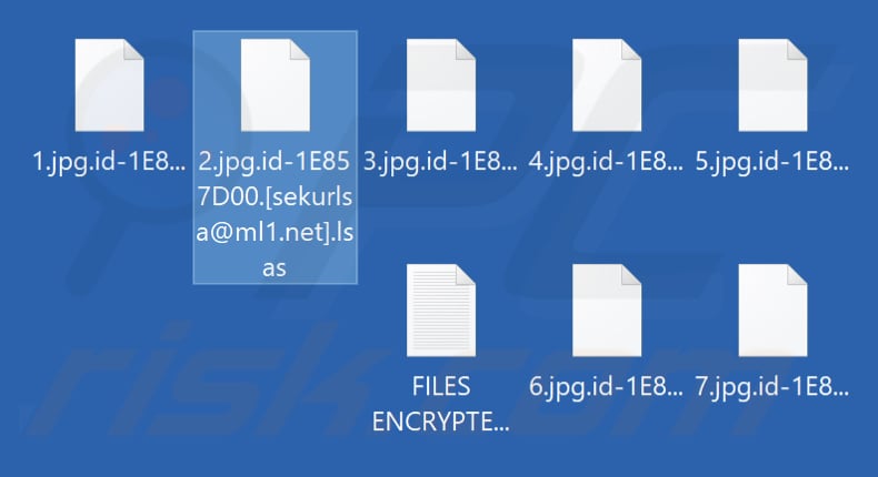 Archivos encriptados por el ransomware Lsas (extensión .lsas)