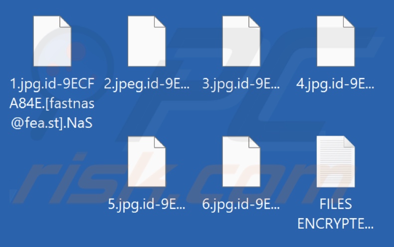Archivos encriptados por el ransomware NaS (extensión .NaS)