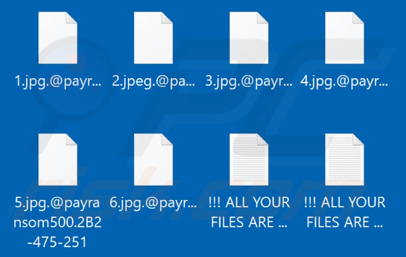 Archivos encriptados por el ransomware Payransom500 (extensión .@Payransom500.[ID_de_la_víctima])