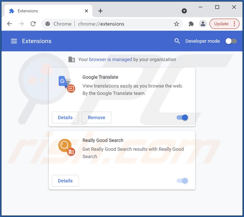 Eliminando las extensiones de Google Chrome relacionadas con rgoodsearch.online