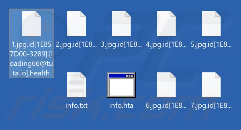 Archivos encriptados por el ransomware Health (extensión .health)