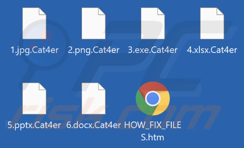 Archivos cifrados por el ransomware Cat4er (extensión .Cat4er)
