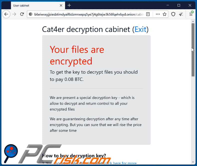 Sitio web del ransomware Cat4er (GIF)
