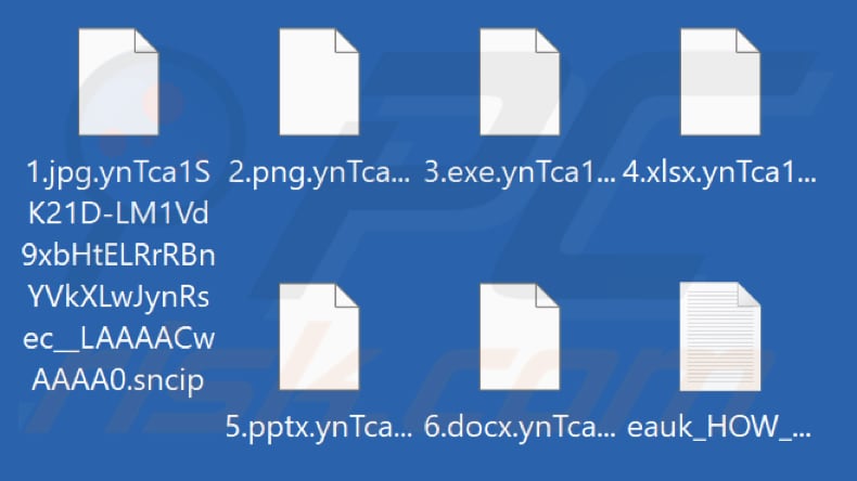 Archivos encriptados por el ransomware Sncip (extensión .sncip)