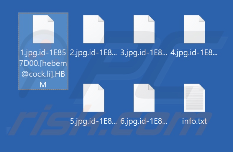 Archivos cifrados por el ransomware HBM (extensión .HBM)