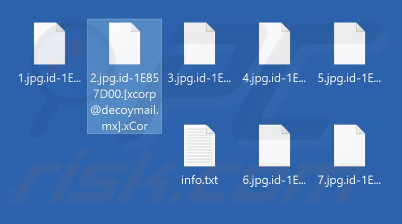 Archivos cifrados por el ransomware xCor (extensión .xCor)