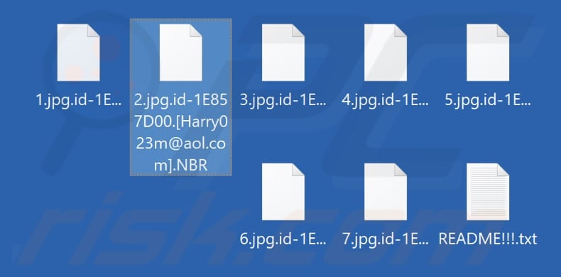 Archivos cifrados por el ransomware NBR (extensión .NBR)