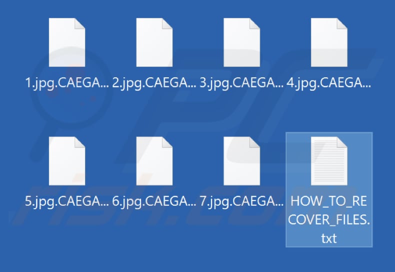 Archivos encriptados por el ransomware NoEscape (extensión aleatoria)